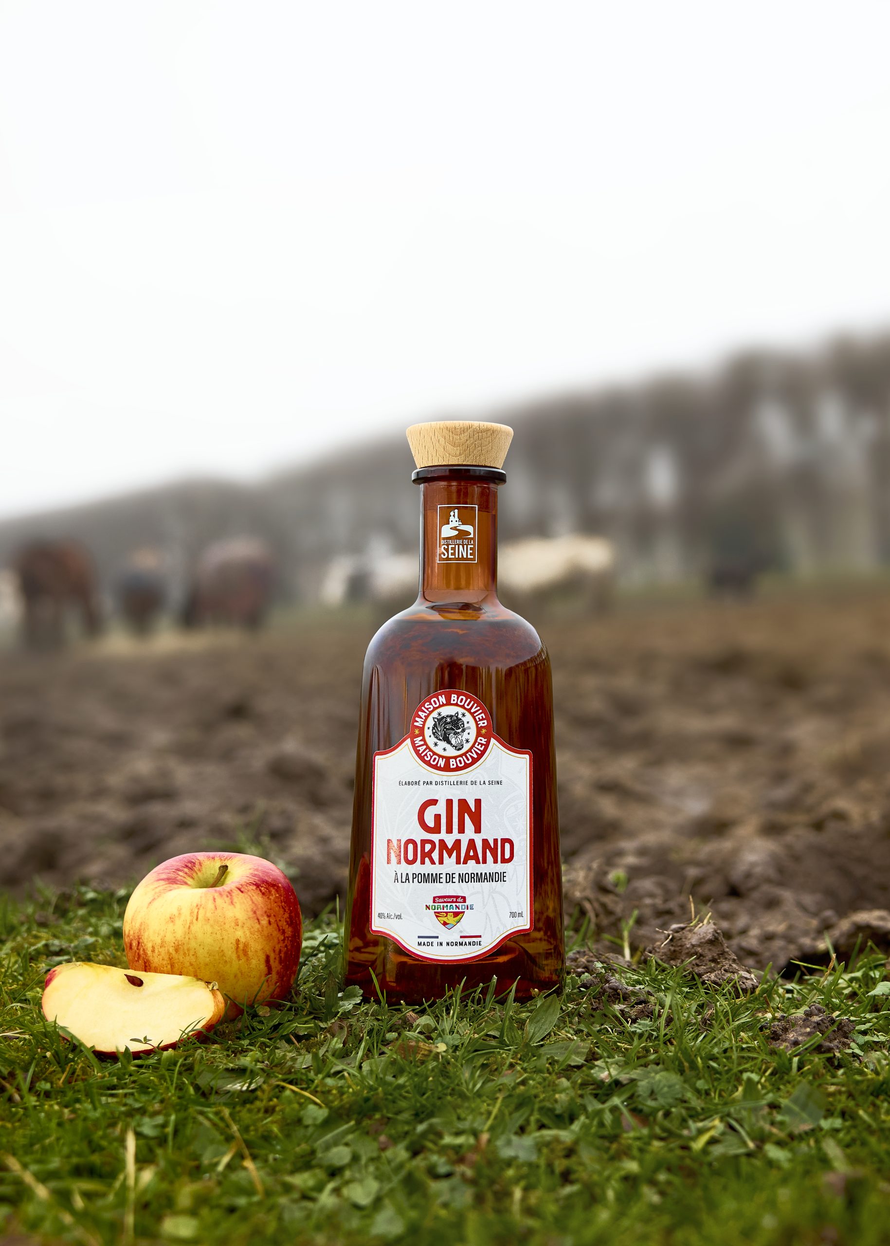 MAISON_BOUVIER_GIN